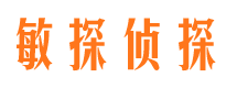 梅江市调查公司